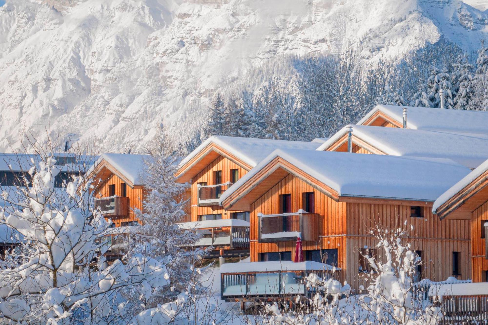 Bergeralm By Alps * Steinach am Brenner